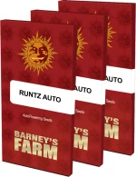 Barneys - Runtz Auto - 1 seed