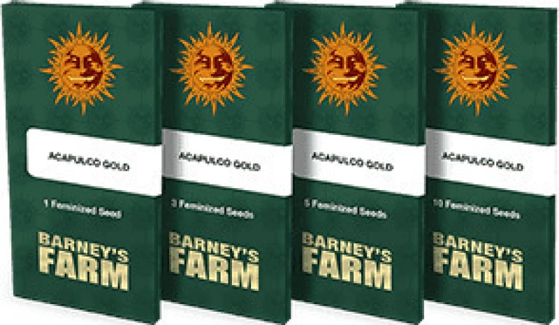 Barneys Farm - Acapulco Gold - 1 seed