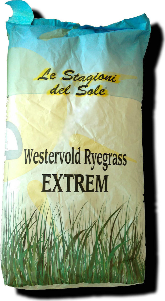 Σπόροι Lolium Extrem 25kg