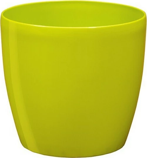 Plastona Κασπώ Roto Brillante 22 Λαχανί