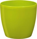 Plastona Κασπώ Roto 16 Λαχανί