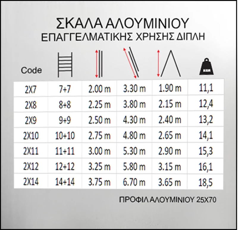 Pankoskal Επαγγελματική Διπλή Σκάλα Αλουμινίου 2x11