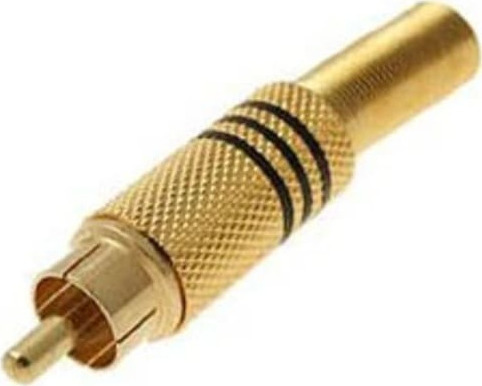 RCA male Gold (CN-47R)