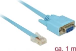 DeLock Καλώδιο RJ45 male σε RS232 9-pin female 1m
