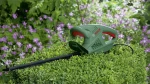 Bosch EasyHedgeCut 45 Ηλεκτρικό Μπορντουροψάλιδο