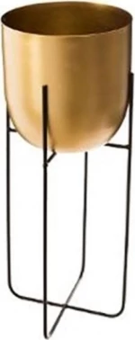 Plastona Κασπώ Χρυσό σε Βάση 17x17x42.5εκ.
