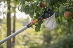 QuikFit Φρουτοσυλλέκτης, Fiskars 836950102
