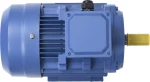 vidaXL Ηλεκτροκινητήρας Τριφασικός 3hp 148004 2,2kW