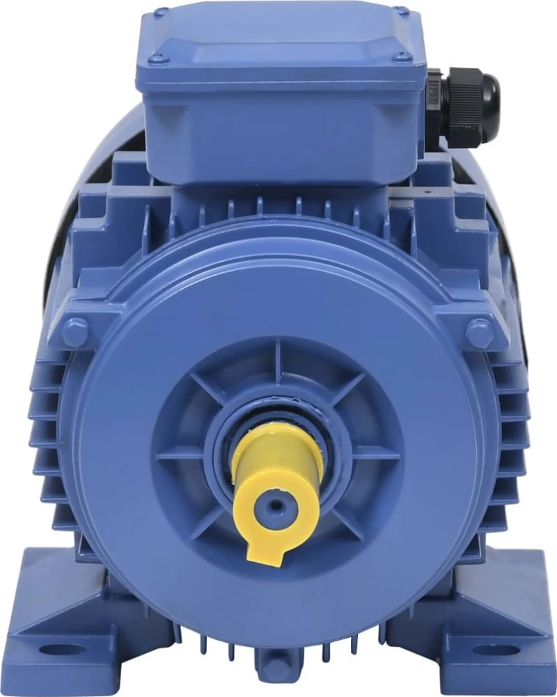 vidaXL Ηλεκτροκινητήρας Τριφασικός 3hp 148004 2,2kW