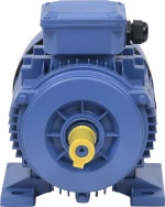 vidaXL Ηλεκτροκινητήρας Τριφασικός 3hp 148004 2,2kW