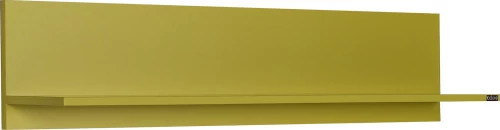 Ράφι Τοίχου RAF 11 Πράσινο 120x25x20cm
