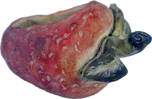 Κασπώ Φράουλα JOE209 24x18x15cm Red-Green Espiel Τσιμέντο