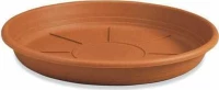Viosarp Νο6 33cm 8699080154066
