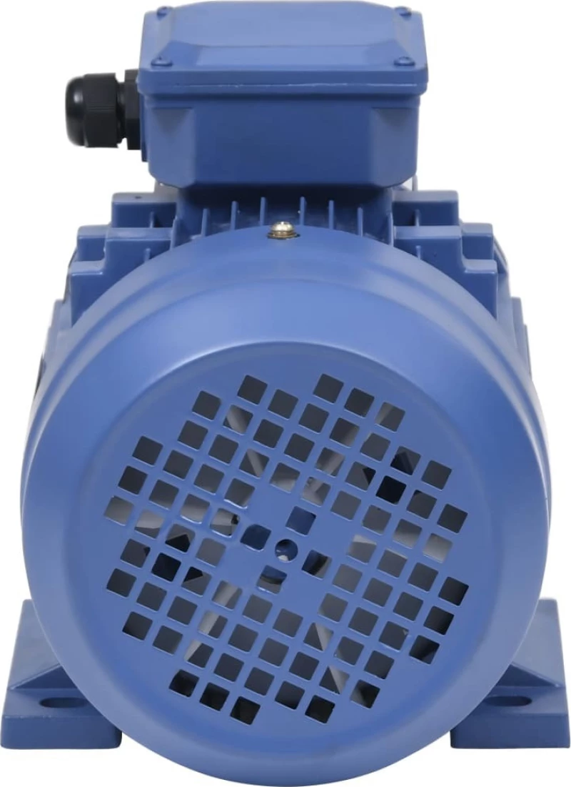 vidaXL Ηλεκτροκινητήρας Τριφασικός 2hp 148003