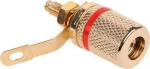 Banana female Gold Plated Red (GNI0206B)