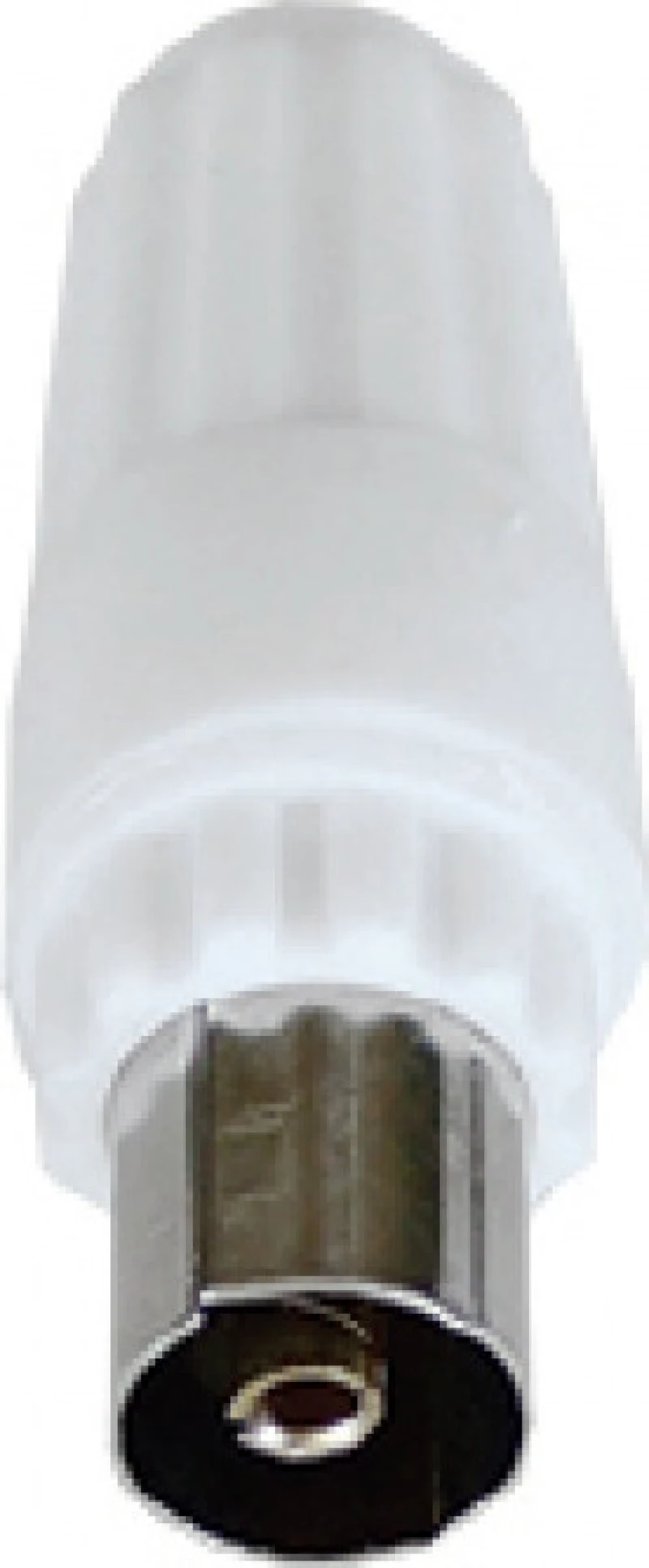 Cn-20 Φις Θηλυκο (Ποσότητα 20)