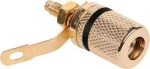 Banana female Gold Plated Black (GNI0206A)