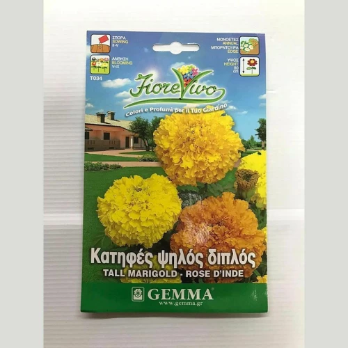 Κατηφές Ψηλός Διπλός