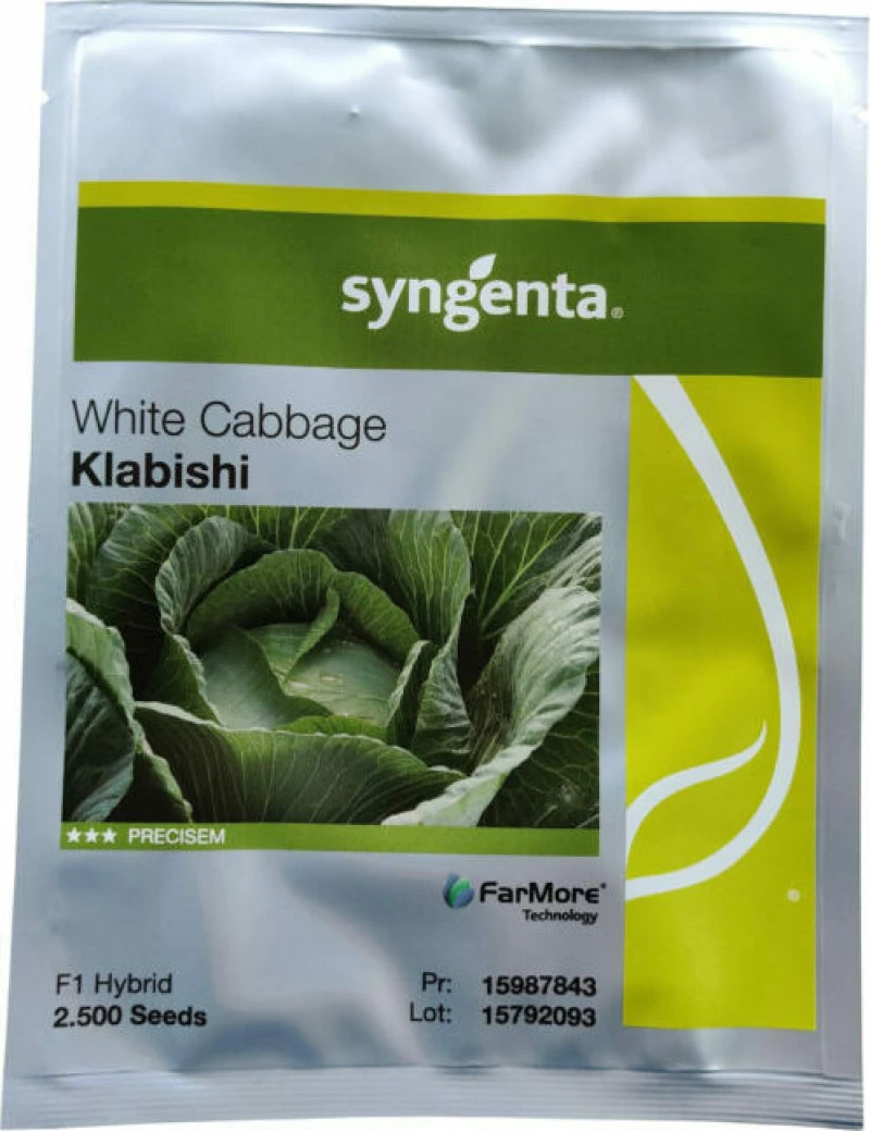 Syngenta Λάχανο Klabishi F1 2500sd