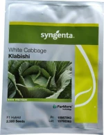 Syngenta Λάχανο Klabishi F1 2500sd