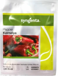 Syngenta Πιπεριά Τύπου Φλωρίνης Kornelya 10000σπόροι