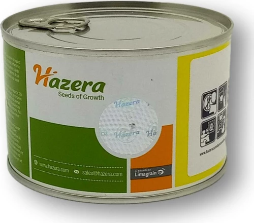Hazera Κολοκύθι Ezra F1 1624