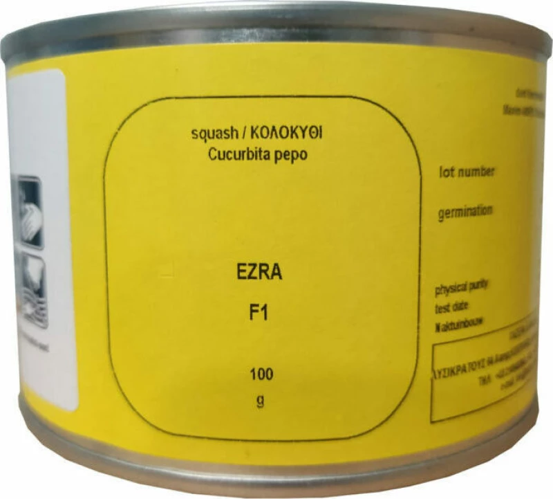 Hazera Κολοκύθι Ezra F1 1624