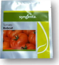 Syngenta Τομάτα Bobcat F1 1000SD