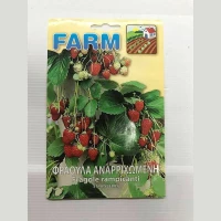 Φράουλα Αναρριχώμενη