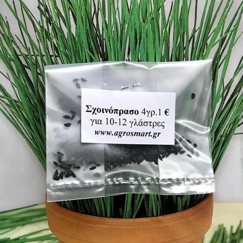 Σχοινόπρασο 4 γρ.