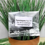 Σχοινόπρασο 4 γρ.