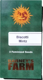 Barneys - Biscotti Mintz - 3 seeds