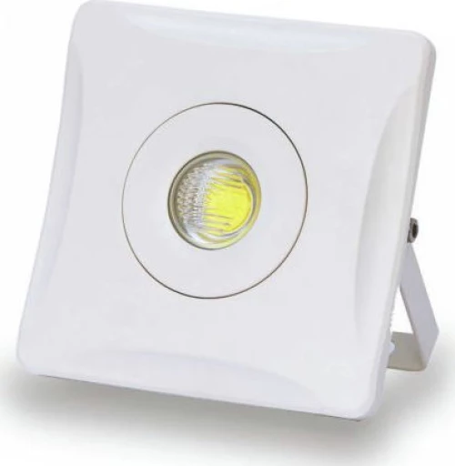 Spot Light Προβολέας 30W 5498
