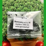 Βασιλικός ψιλός 5 γρ.