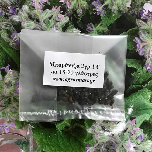 Μποράντζα 2 γρ.