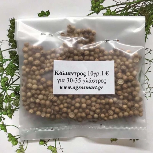 Κόλιαντρος 10 γρ.