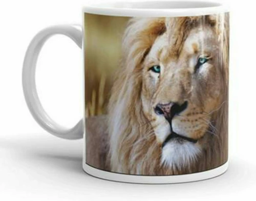 Διακάκης Animal Planet Κούπα Κεραμική Πολύχρωμη 325ml