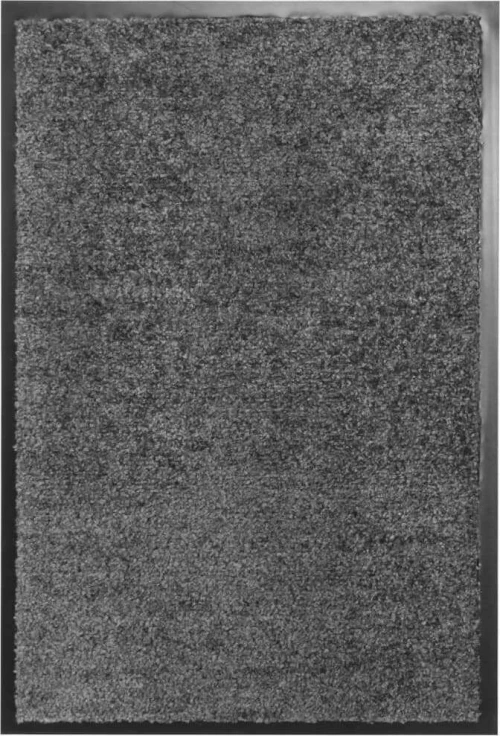 vidaXL Πατάκι Εισόδου Ανθρακί 40x60cm