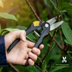 Deli Ψαλίδι Κλαδέματος Χειρός 8" EDL580101