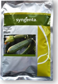 Syngenta Κολοκύθι Rigas F1