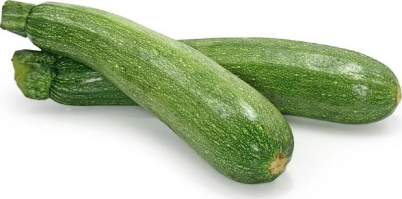 Syngenta Κολοκύθι Rigas F1