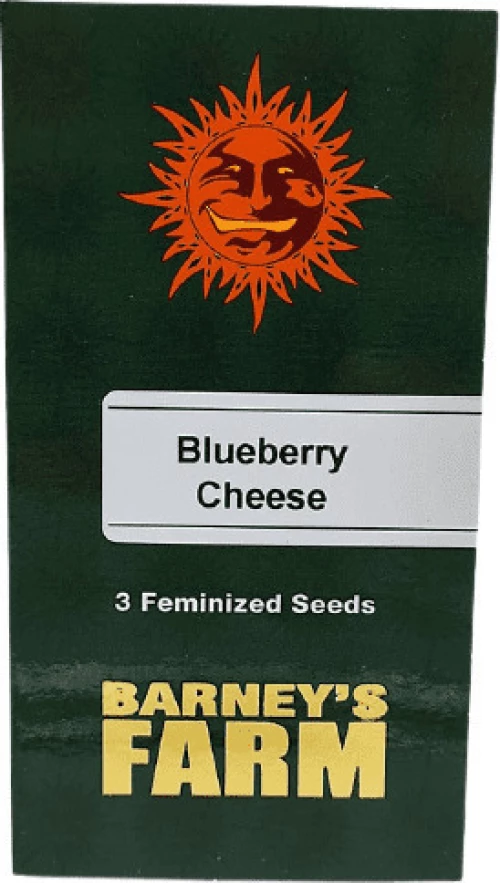 Barneys - Blueberry Chesse - 3 seeds