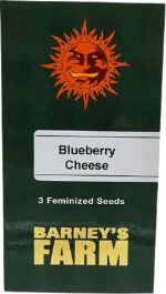 Barneys - Blueberry Chesse - 3 seeds