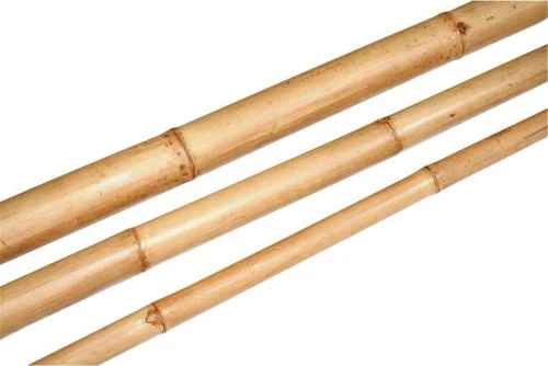 Bamboo Φ6-8, 2,1m 012.140004000