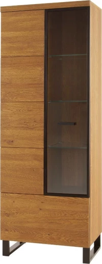Βιτρίνα Σαλονιού Paragon 1D Φυσικό 67x42x198cm