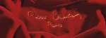 Pierre Cardin Nancy Κουβέρτα Ακρυλική Μονή 160x240 545/34 Red