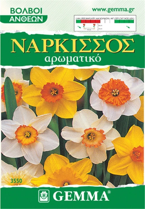 Gemma Νάρκισσος Μίγμα 3550