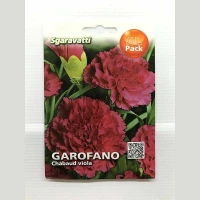 Γαρύφαλλο Μπορντό