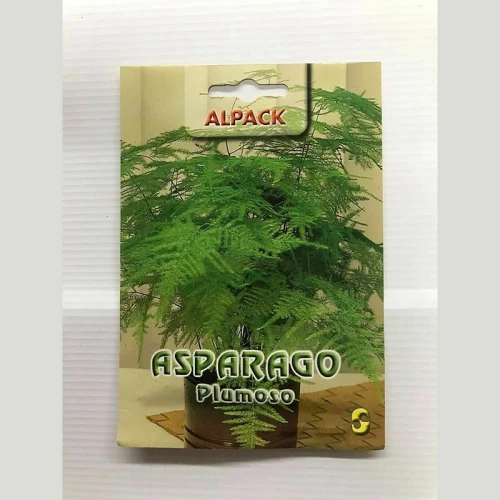 Σπαράγκι