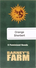 Barneys - Orange Sherbert - 5 seeds